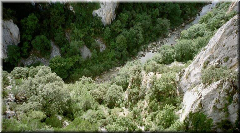 Foz de Arbayun