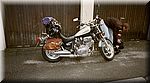 Tom's Virago