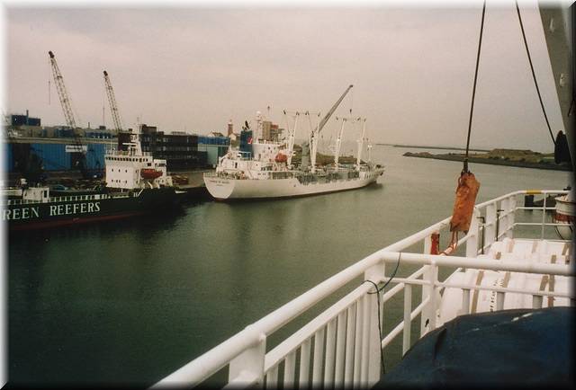 Hafenrundblick Ijmuiden