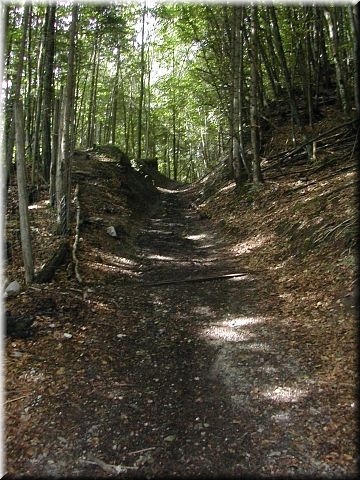 Steilst&uuml;ck
