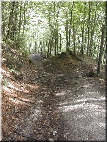 Steilst&uuml;ck