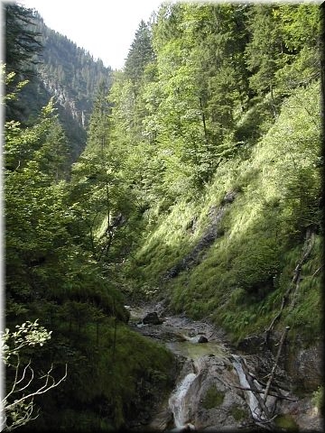 R&uuml;ckblick