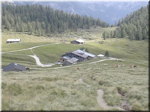 Die Gotzenalm (1685 m)